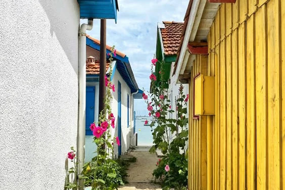 L’Herbe: The Oyster Village Hidden on Cap Ferret