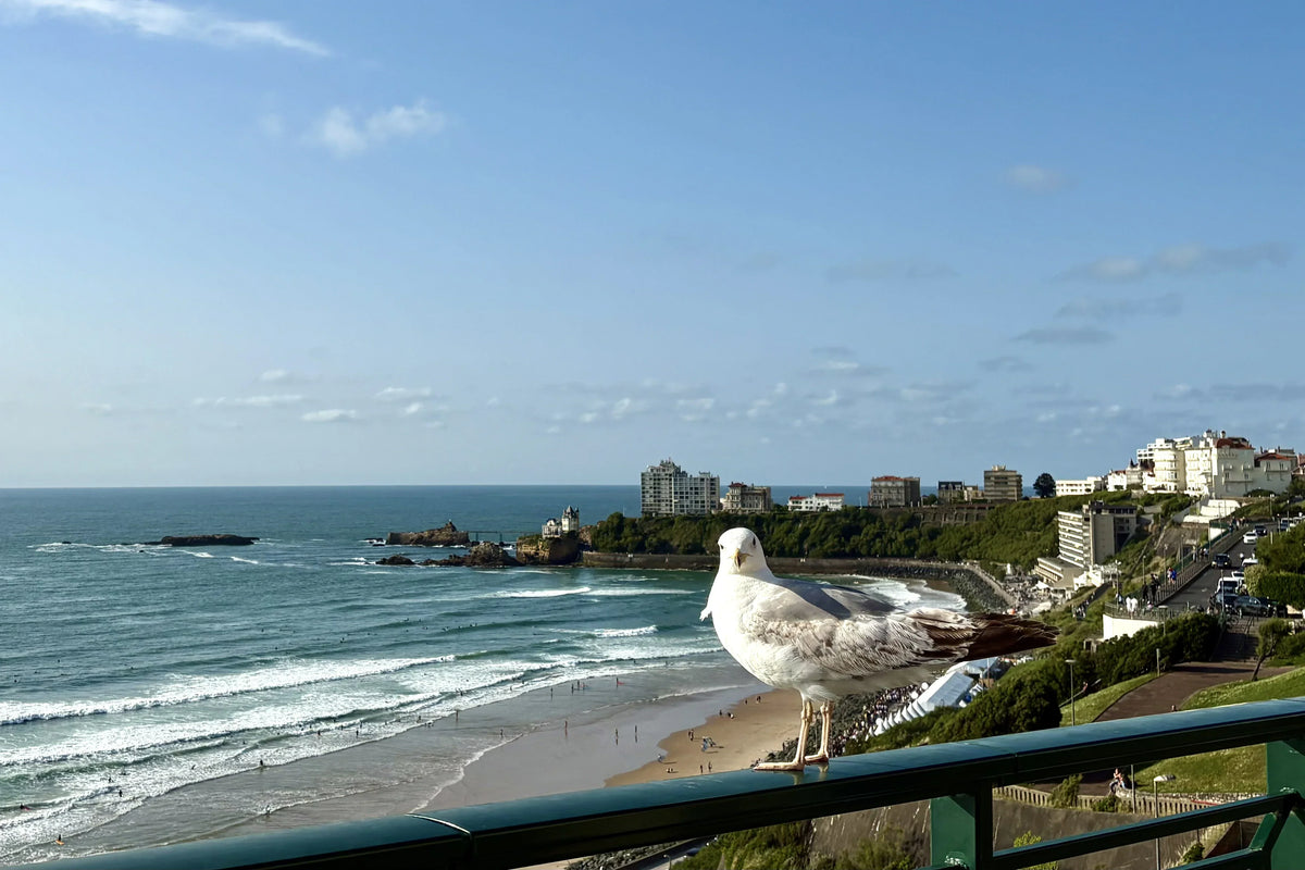 What Makes Biarritz Elegance So Different?
